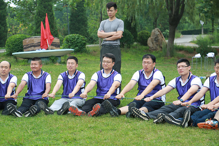 ����˹wns885566(�й�)���޹�˾-�ٷ���վ