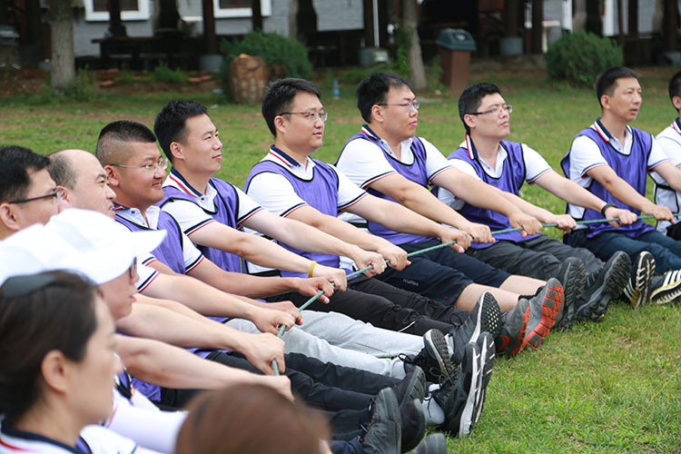 ����˹wns885566(�й�)���޹�˾-�ٷ���վ