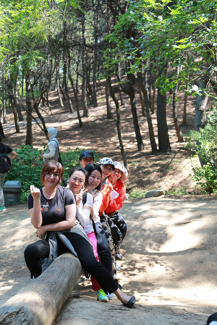 ����˹wns885566(�й�)���޹�˾-�ٷ���վ