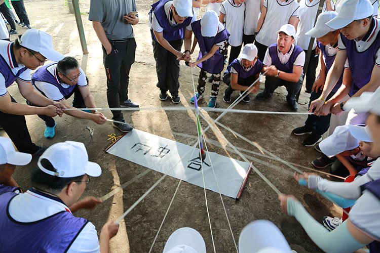 ����˹wns885566(�й�)���޹�˾-�ٷ���վ