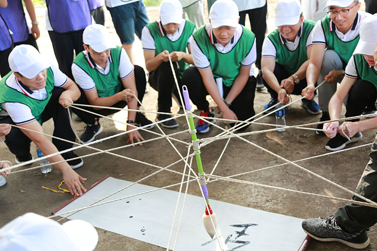 ����˹wns885566(�й�)���޹�˾-�ٷ���վ