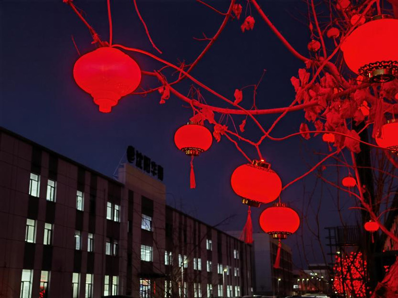 ����˹wns885566(�й�)���޹�˾-�ٷ���վ