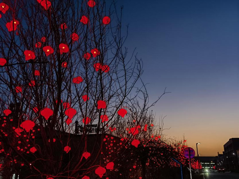 ����˹wns885566(�й�)���޹�˾-�ٷ���վ