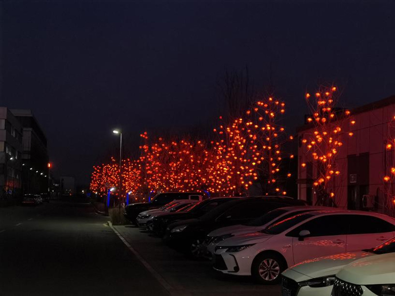 ����˹wns885566(�й�)���޹�˾-�ٷ���վ